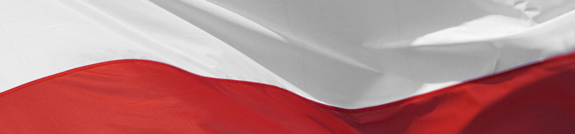 flag D